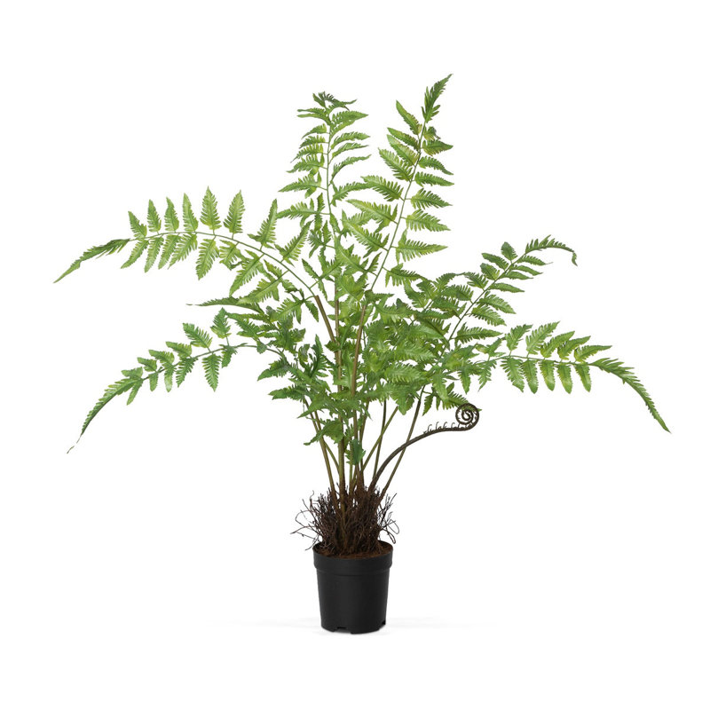 Large Green Plastic Fern in Black Growers Pot