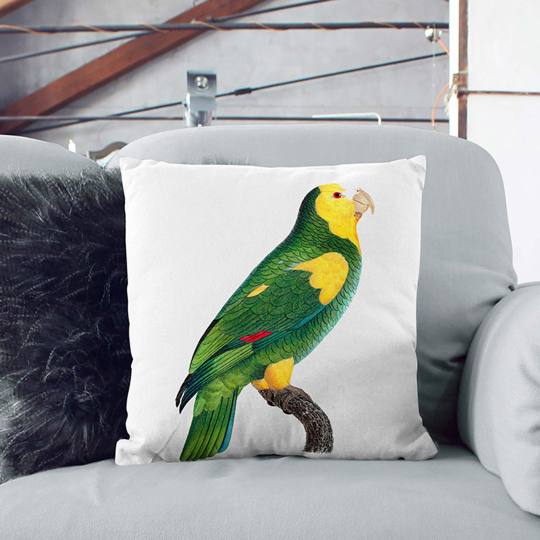 A Shoulde Amazon Parrot by F. Levaillant Cushion with Filling