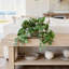7.5'' Artificial Foliage Plant in Pot