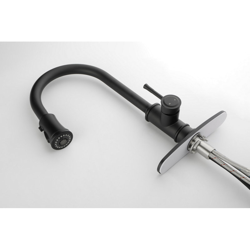 Kitchen Faucet With Pull Out Spraye