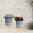 Includes plant rack flower pots