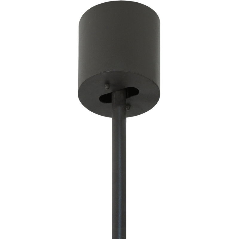 Paloma 6 - Light Chandelier