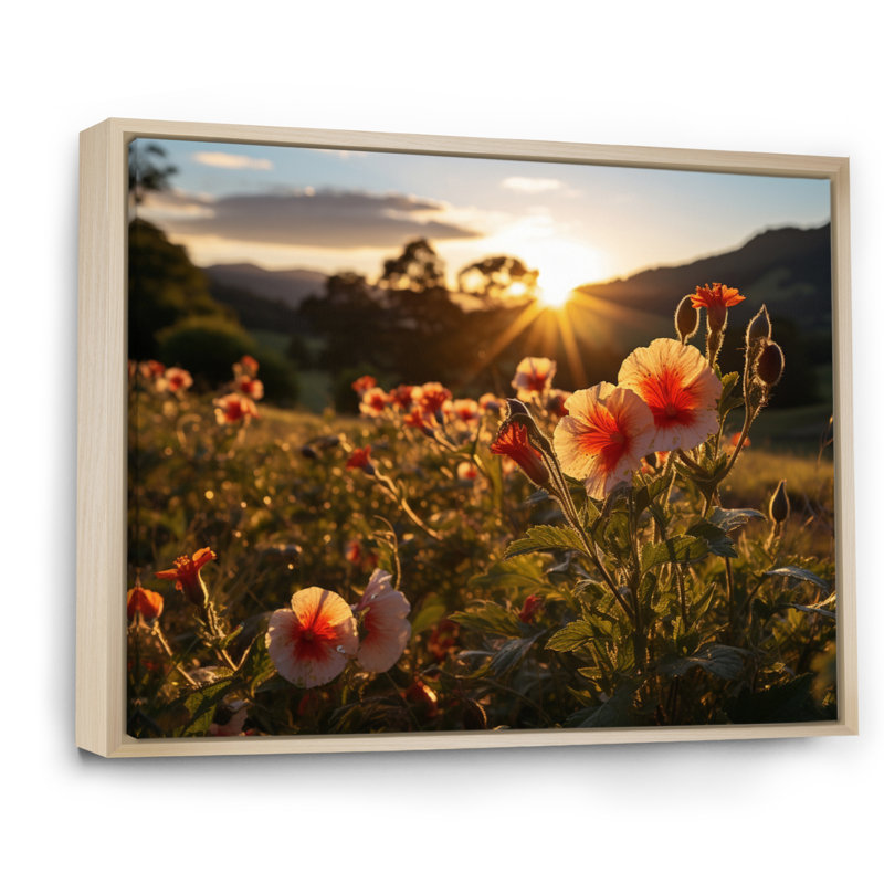 Hibiscus champ avec coucher de soleil I - décoration murale florale, H 12 po x l 20 po x P 1 po, Cadre naturel flottant