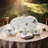 Nika 45-piece White Porcelain Dinnerware Set, Floral & 24k Gold trim (service for 8)