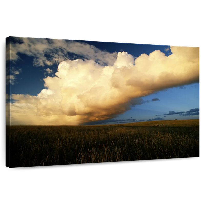Alvord Theodore Roosevelt Park Clouds, 32" H x 48" W