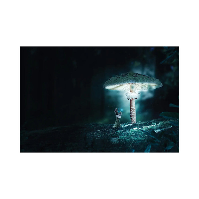 Mushrooms by Milos Karanovic - Wrapped Canvas Painting, 20.32 cm H x 30.48 cm W