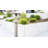 Samons 1-Light Pathway Light-23228104