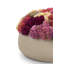 Ariane Sedum Arrangement-907699576