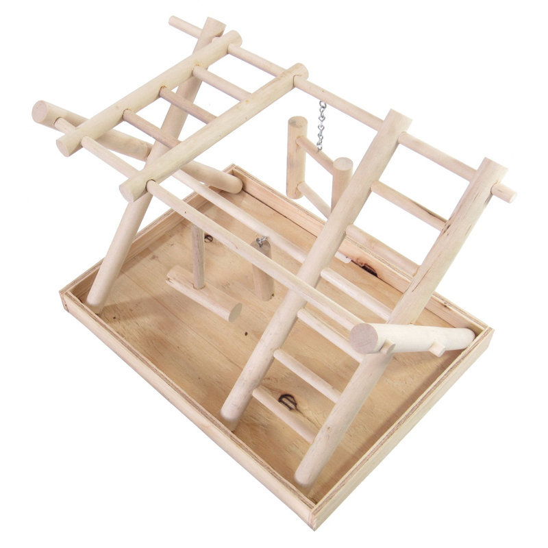 Gym de jeu pour petits oiseaux