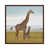 Classic Brown Wood Framed is unavailable