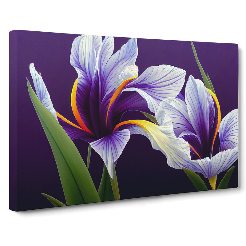 Enigmatic Iris Flowers - Wrapped Canvas, 50cm H x 76cm W x 3cm D