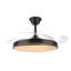 Ceiling Fan with LED Lights