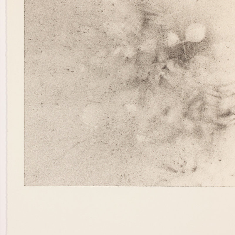Breath Drawing Xxvii By Adrián White, 18" H x 12" W