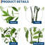 Arbre d'eucalyptus artificiel de 5 pi, tiges flexibles, plante artificielle réaliste pour l'intérieur et l'extérieur, feuilles réalistes-961954007-961954001