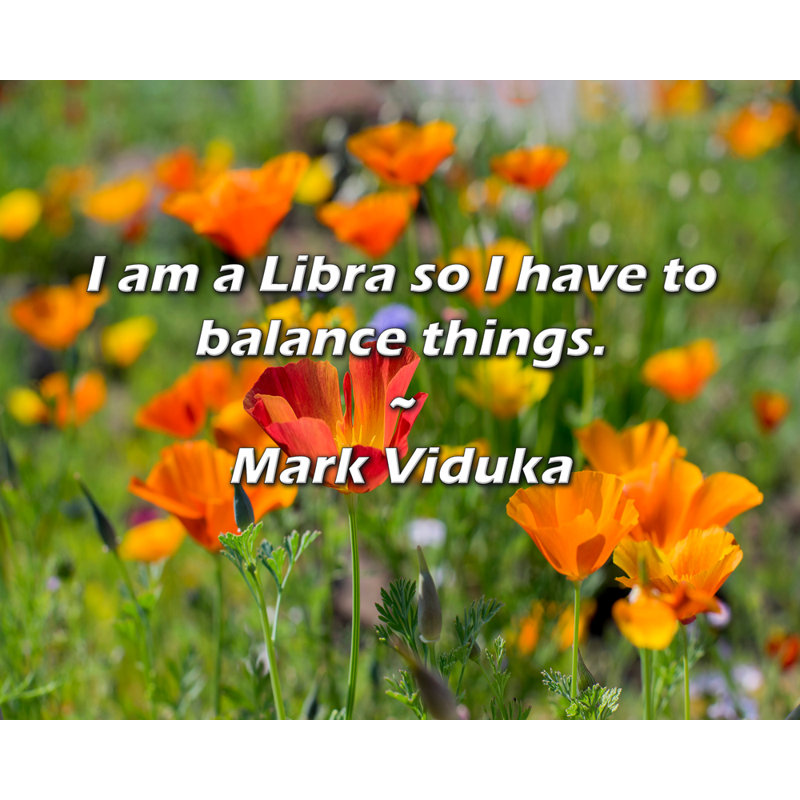 Artsy Quote "I am a Libra so I have to balance things." By Mark Viduka Gallery Wrapped Canvas