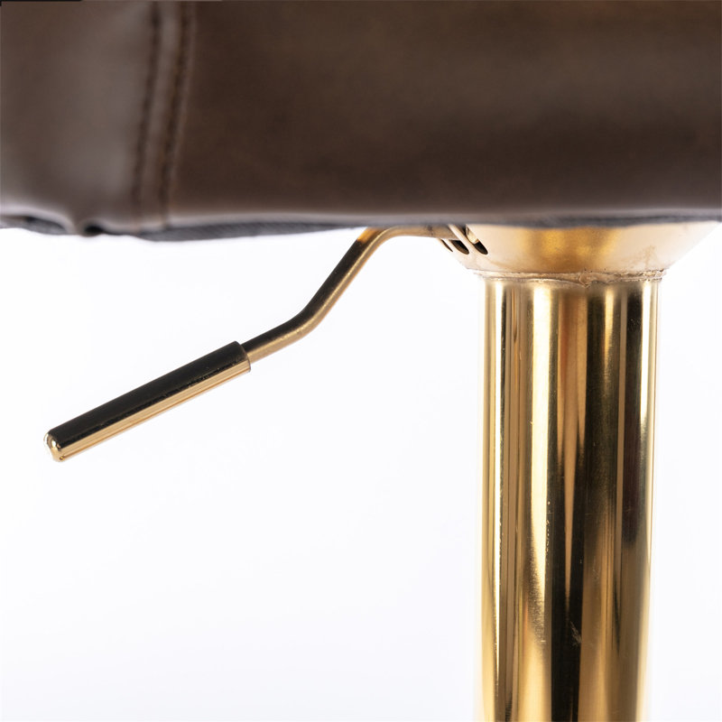 Dining Chair (No Including Dining Table), Brown, Gold