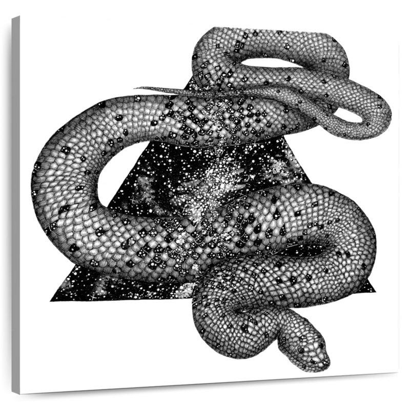 Brampt Cosmic Snake, 33" H x 33" W