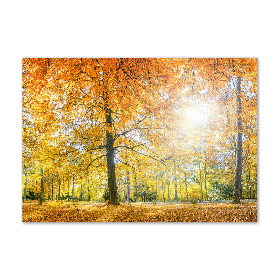 Herbstwald - Kunstdrucke auf Leinwand - Wrapped Canvas