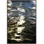Blue Waters 1 Print by Barbara DeBord-870205051