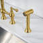 Bridge Faucet-71451088-98364348