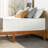 14" Plush Memory Foam Mattress-1923532219
