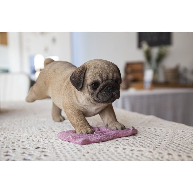 Pug Mopping the Floor