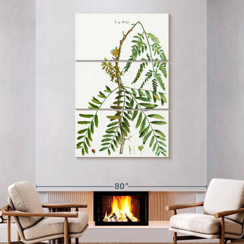 Harnek Honey Locust Gleditsia Triacanthos, 74" H x 48" W