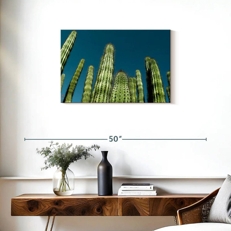 Cactus bleu ciel Harnek, H 20 po x l 30 po