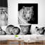 Tigre blanc du Bengale regardant fixement - Coussin imprimé animal-30744065-30744062