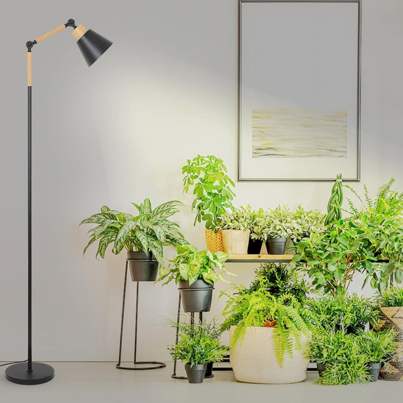 Plantes d'intérieur à spectre complet faisant pousser des lumières, grande lampe de croissance sur pied à hauteur ajustable avec ampoule COB, lampe de croissance pour plante à plancher 4/8 / 12H pour plantes moyennes du milieu, noir