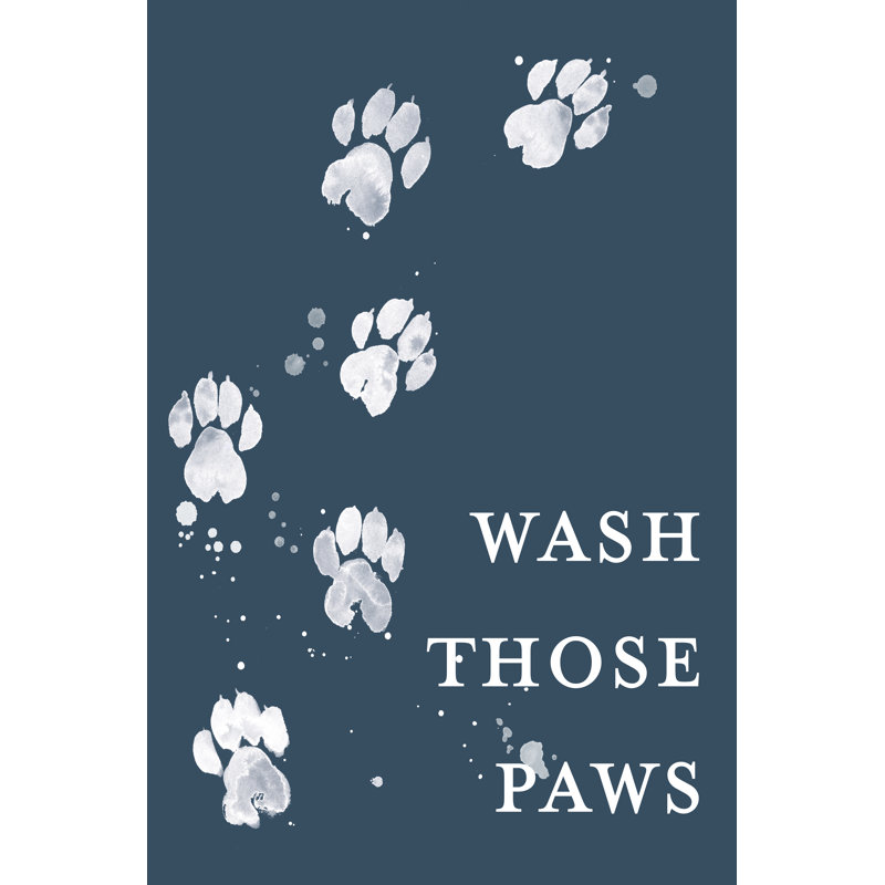 Wash Your Paws I by Grace Popp - Typography Print, 46 cm H x 30 cm W, Wrapped Canvas