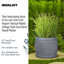 Fibreglass Plant Pot-1382639507-1382639509