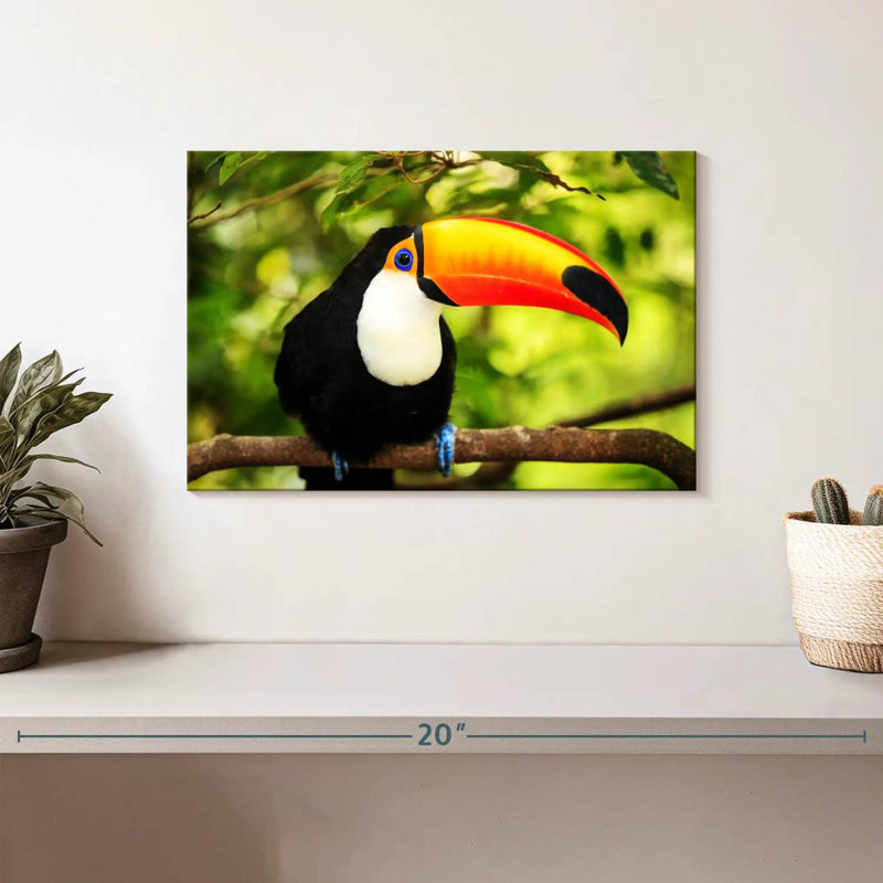 Brampt Toco Toucan, 8" H x 12" W