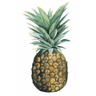 Pineapple II - Wrapped Canvas Painting