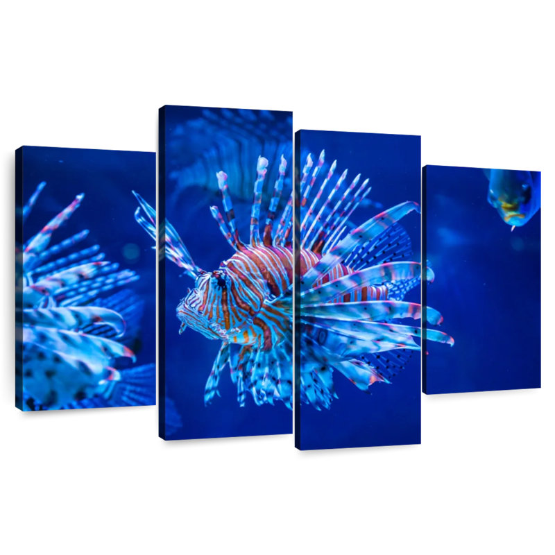 Aquarium lion
