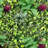 40" Artificial Boston Fern Yucca Grass Greenery Wall Panel Hedge Mat Backdrop Privacy Screen