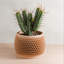 8 po Pot de fleurs Honeycomb-137721285-137721282