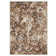 Raashi Washable Abstract Indoor Rug
