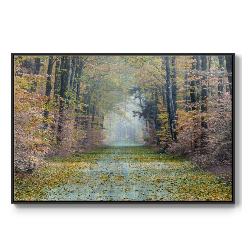 Enchanted Path, reproduction d'art sur toile, H 17 po x l 25 po x P 2 po, Noir