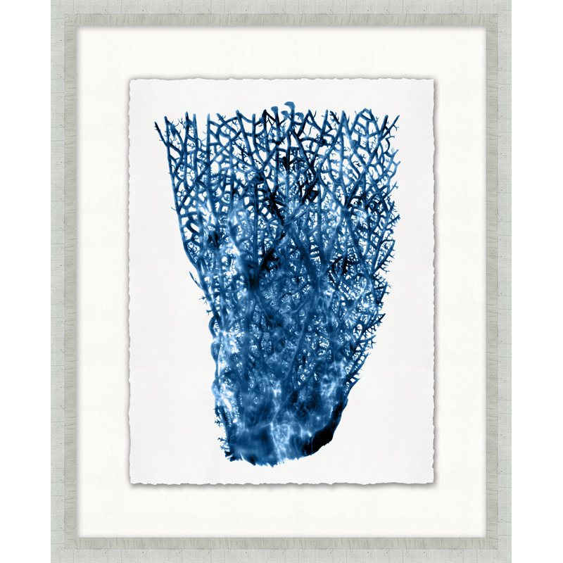 Blue Sea Fan 4 Print