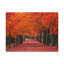 No Frame Print on Canvas-588420529