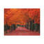 No Frame Print on Canvas-588420531