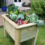 Angelo Wood Raised Garden Bed