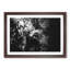 Elephant in the Trees - Picture Frame Graphic Art Print-55725141-55725146