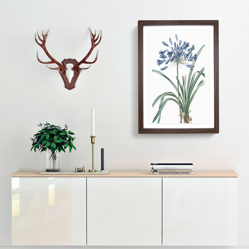 African Lily Flowers by Pierre-Joseph Redoute - Single Picture Frame Painting, 45cm H x 33cm W x 2cm D, Walnut Framed