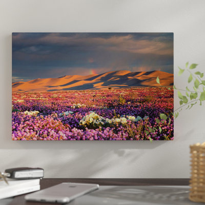«Distant Rainbow and Wildflower Field Dumont Dunes», reproduction de photo sur toile