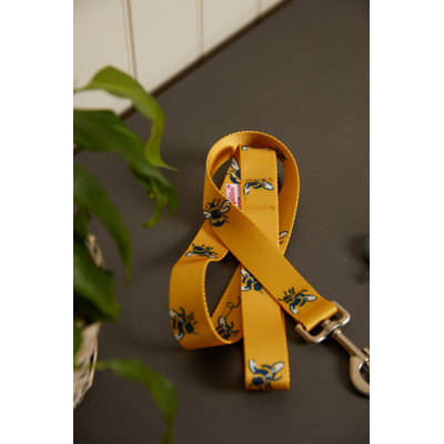 Busy Bee Printed Pet Lead L