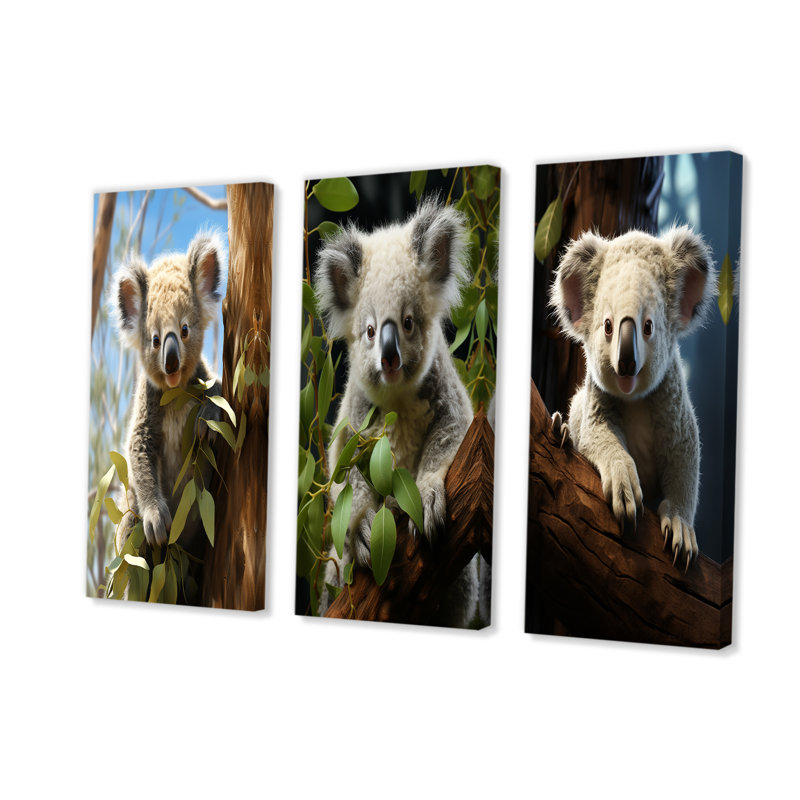 Ensemble de 3 décorations murales réalistes Koala Eucalyptus Observer I - Koala, H 28 po x l 36 po, Toile tendue