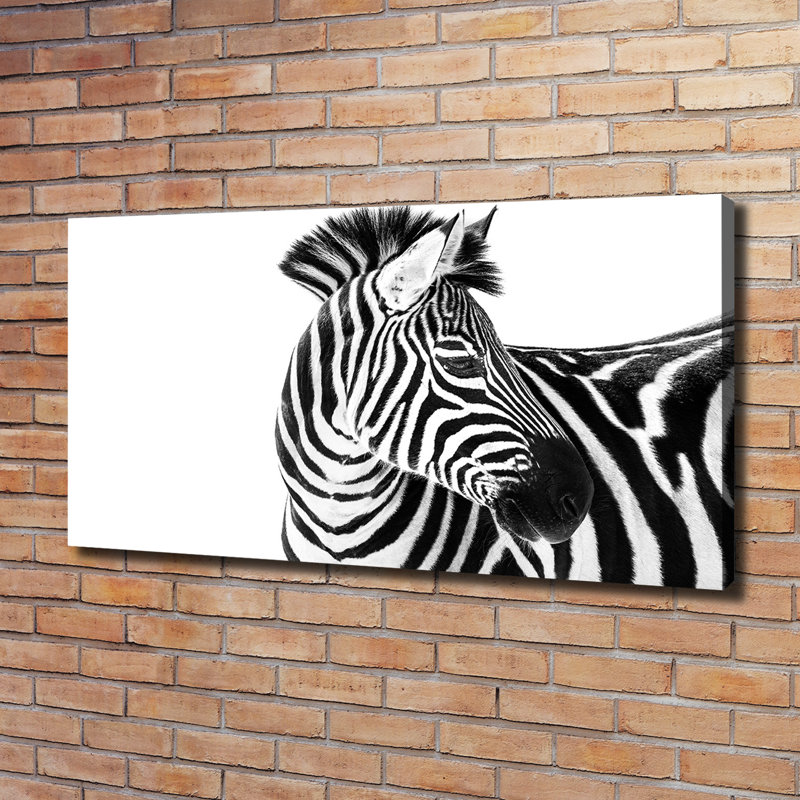 Zebra In The Snow - Wrapped Canvas Print