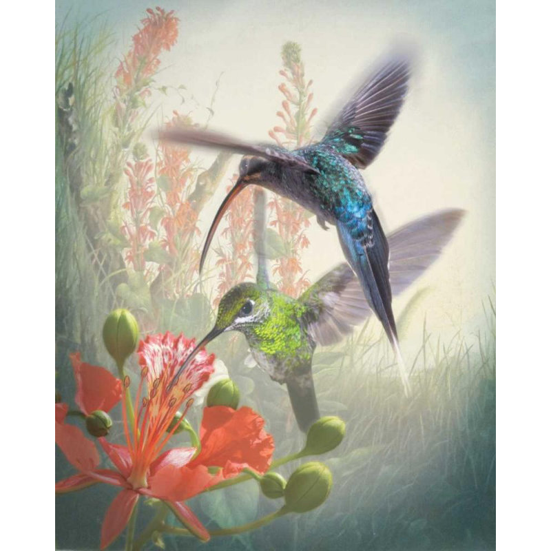 Art sur toile tendue par Winston Porter Quintero, Sonja Gallery, Hummingbird Cycle I